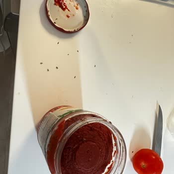 Onur Market'ten Aldığım Salçadan Böcek Çıktı, Müşteri Hizmetlerine Ulaşamıyorum