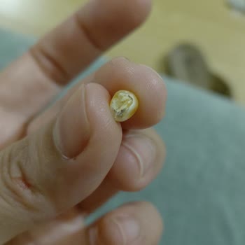 Aldığım Patlatmalık Mısırda Küf Ve Kötü Koku Sorunu