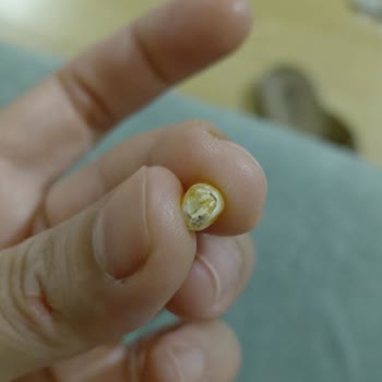 Aldığım Patlatmalık Mısırda Küf Ve Kötü Koku Sorunu