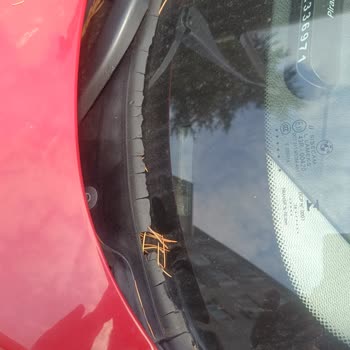 BMW 1 Serisi Kronik Cam Fitili Sorunu İçin Ücretsiz Onarım Talebi