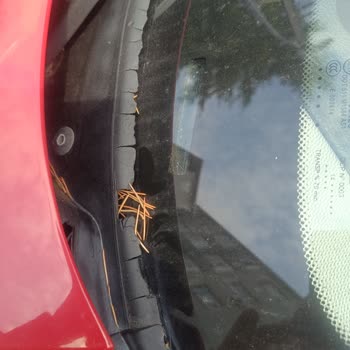 BMW 1 Serisi Kronik Cam Fitili Sorunu İçin Ücretsiz Onarım Talebi