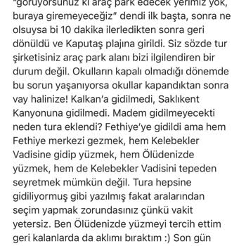 Vaat Edilen Tatil Hediyesi Ve İlgisizlik: Yorum Kaldırıldıktan Sonra İletişim Kesildi