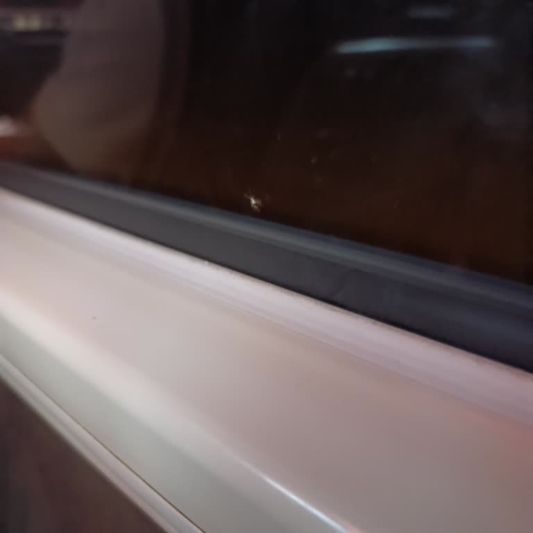 Böcekli, Güvensiz Ve Konforsuz Yolculukta Ücret İadesi Talebim