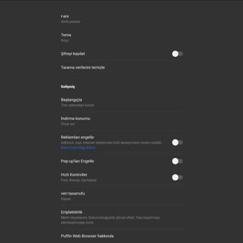 Puffin Browser'da Masaüstü Görünüm Eksikliği Stardoll Erişimini Engelliyor