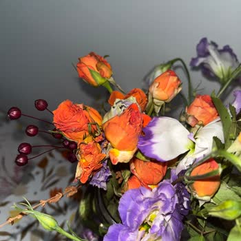 Hediye Olarak Gönderilen Çiçek Solmuş Ve Küflü Teslim Edildi