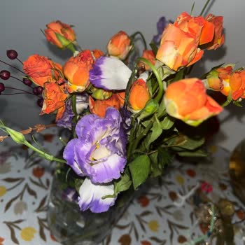 Hediye Olarak Gönderilen Çiçek Solmuş Ve Küflü Teslim Edildi