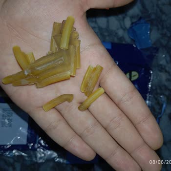 Cardella Makarna'da Bozulma Ve BİM Müşteri Hizmetlerine Ulaşamama Sorunu