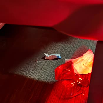 Kamil Koç Otobüsünde 2.5 Saat Gecikme Ve Mağduriyet Yaşadım