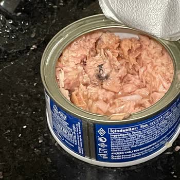 Dardanel Ton Balığında Şüpheli Parçalar Ve Kötü Koku