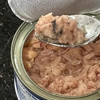 Dardanel Ton Balığında Şüpheli Parçalar Ve Kötü Koku