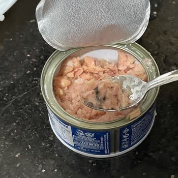 Dardanel Ton Balığında Şüpheli Parçalar Ve Kötü Koku