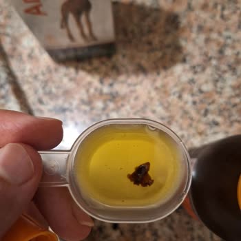 Argivit Focus Şurubunda Siyah Parçalar: Değişim Veya İade Talebi