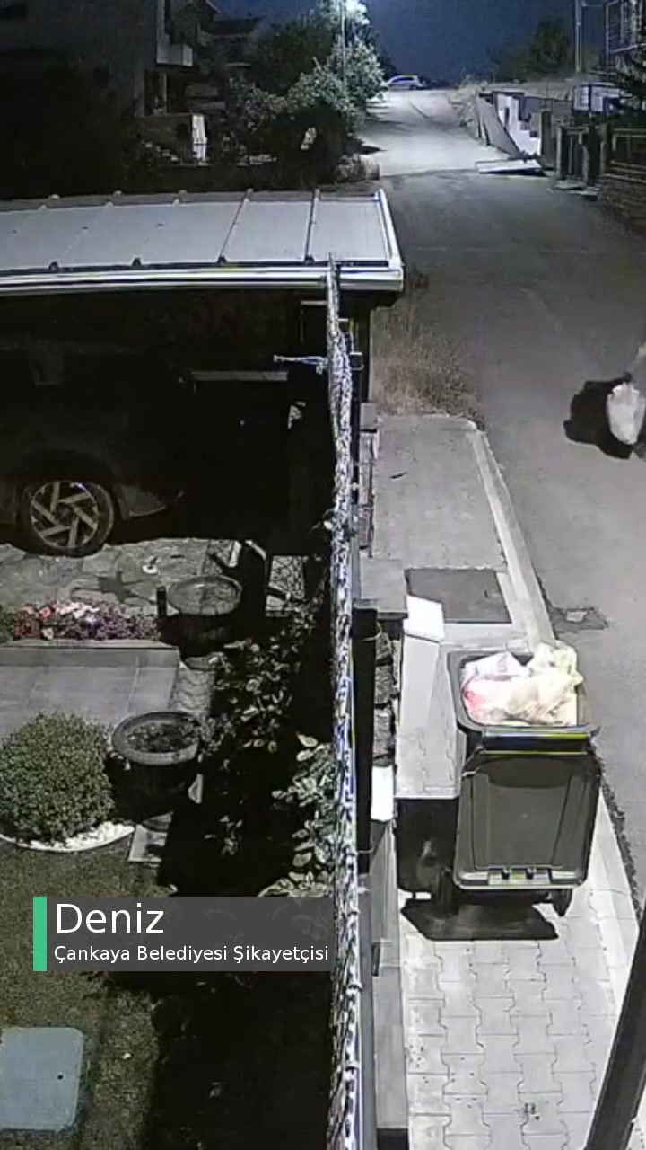 Ankara Çankaya Belediyesi Çöp Toplayan Personel Terbiyesizliği videonun kapak resmi