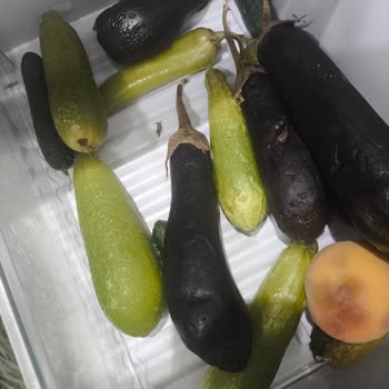 Garanti Süresi Biter Bitmez Tekrarlayan Arıza Ve Yüksek Onarım Ücreti Mağduriyeti