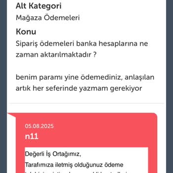 N11magazam.com Ödeme Gecikmeleri Mağazamı Zora Sokuyor