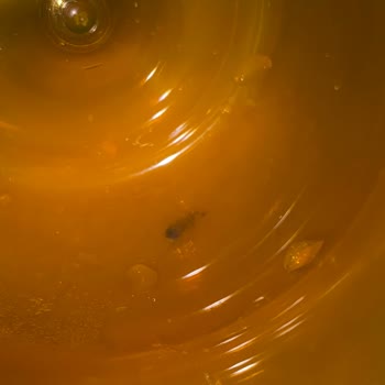 Bebek Sulukta Küf: Sağlık Riski Ve Değişim Talebi