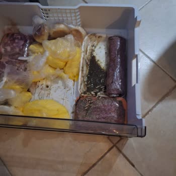 Buzdolabı Arızası Nedeniyle Maddi Ve Sağlık Sorunları Yaşadım, Acil Çözüm Ve Yenileme Talebim Var