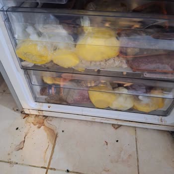 Buzdolabı Arızası Nedeniyle Maddi Ve Sağlık Sorunları Yaşadım, Acil Çözüm Ve Yenileme Talebim Var