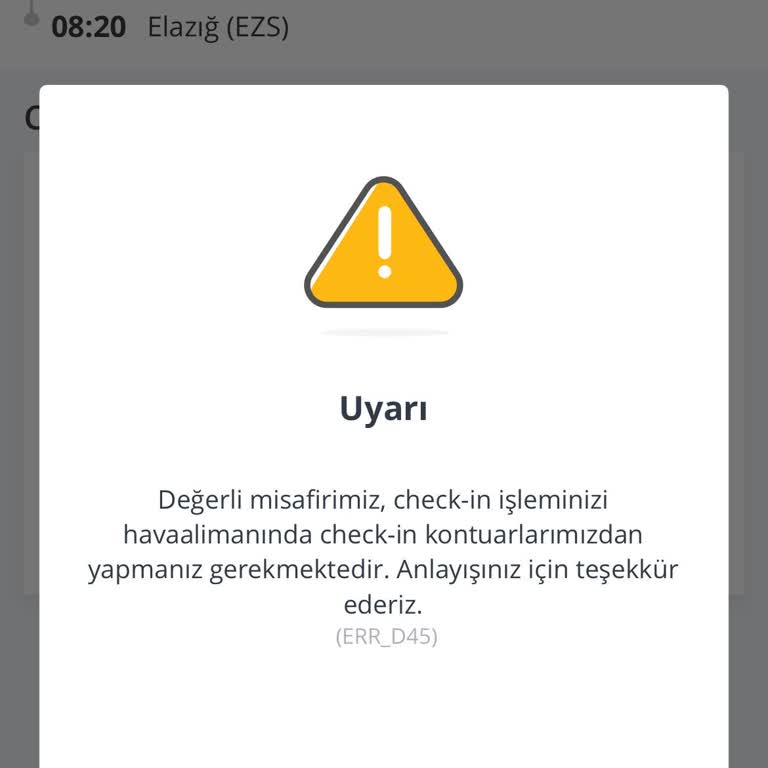 Pegasus'ta Online Check-in Hatası Ve Hizmet Eksikliği