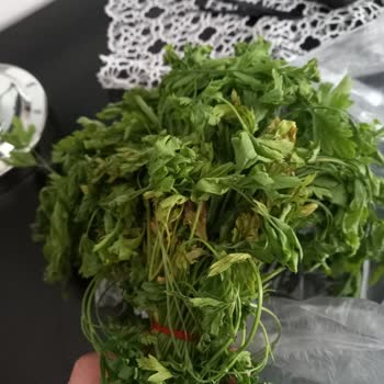 Bozuk Maydanoz Satışı Ve Yetersiz Müşteri Hizmeti Deneyimi