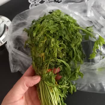 Bozuk Maydanoz Satışı Ve Yetersiz Müşteri Hizmeti Deneyimi