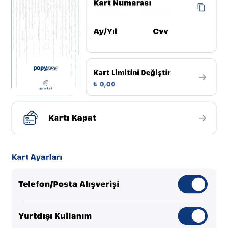 Sanal Kart Limiti Sıfırda Kaldı, Ödemelerim Reddedildi Ve Müşteri Hizmetine Ulaşamıyorum