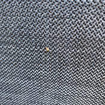 MS Sleep Baza Ve Yatakta Tahta Kurusu Sorunu Mağduriyetimi Artırıyor