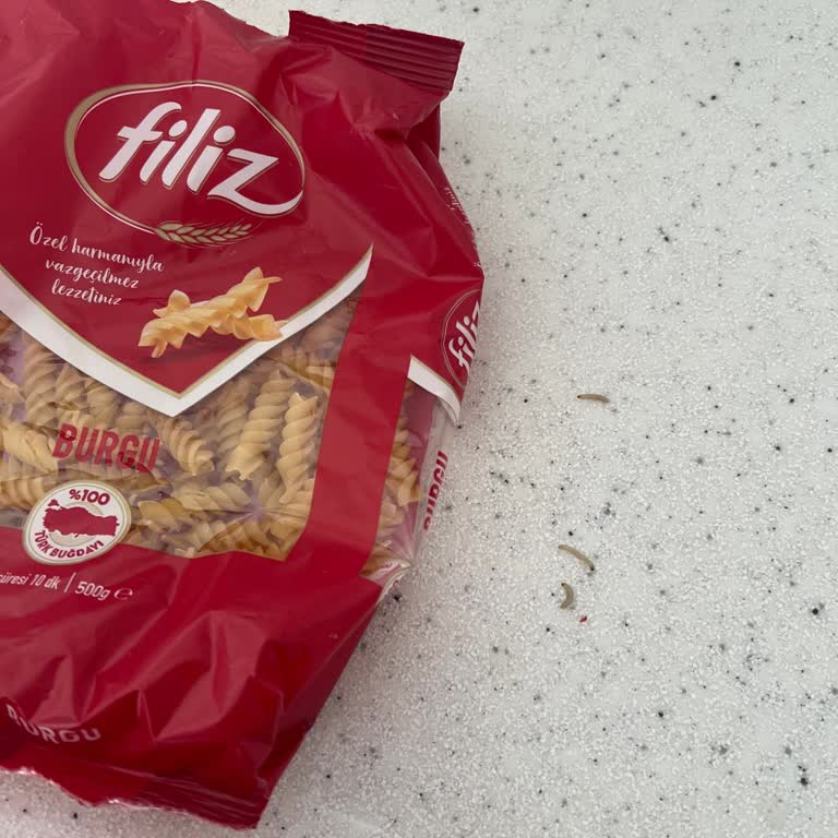 Aldığım Makarnada Kurt Çıktı Hijyen Ve Güven Sorunu Yaşadım