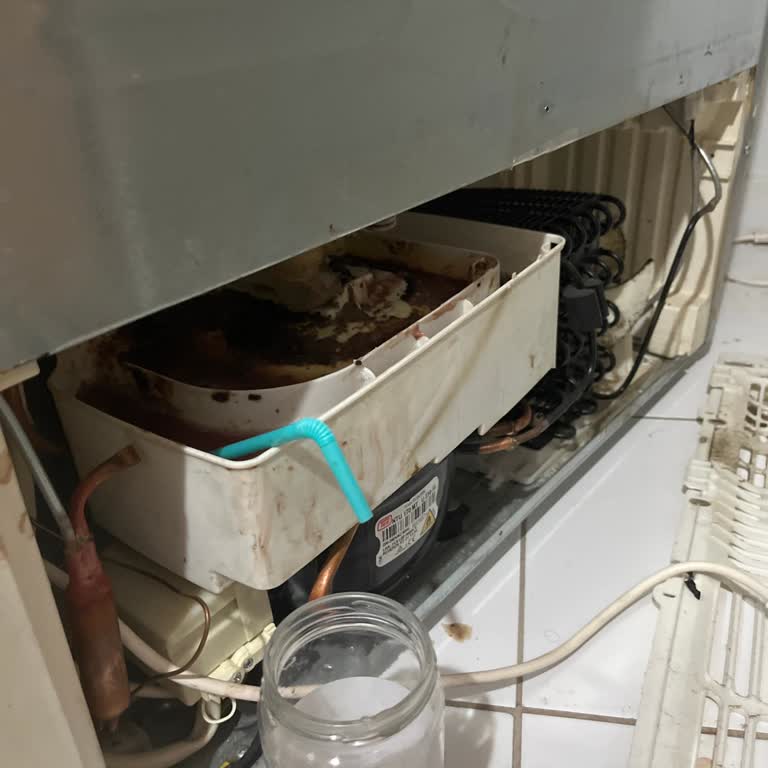 Elektrik Arızası Nedeniyle Buzdolabındaki Yiyeceklerim Çürüdü Zararımı Kim Karşılayacak