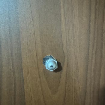 Hasarlı Kapı, İlgisiz Servis: İki Haftadır Çözüm Bekliyorum!