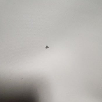 Yanlış Ve Hasarlı Perde Gönderimi, Müşteri Hizmetleri Yanıtsız Kaldı