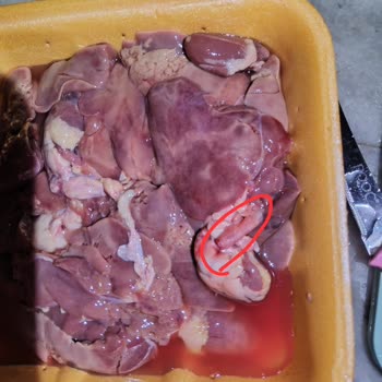 Şok Marketler'den Alınan Tavuk Ciğerinde Solucan Şoku!