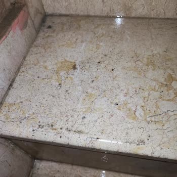 Yetersiz Temizlik Hizmeti Ve İletişimsizlik Nedeniyle Memnuniyetsizlik