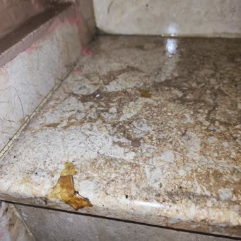 Yetersiz Temizlik Hizmeti Ve İletişimsizlik Nedeniyle Memnuniyetsizlik