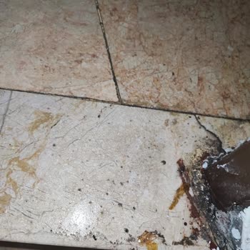 Yetersiz Temizlik Hizmeti Ve İletişimsizlik Nedeniyle Memnuniyetsizlik