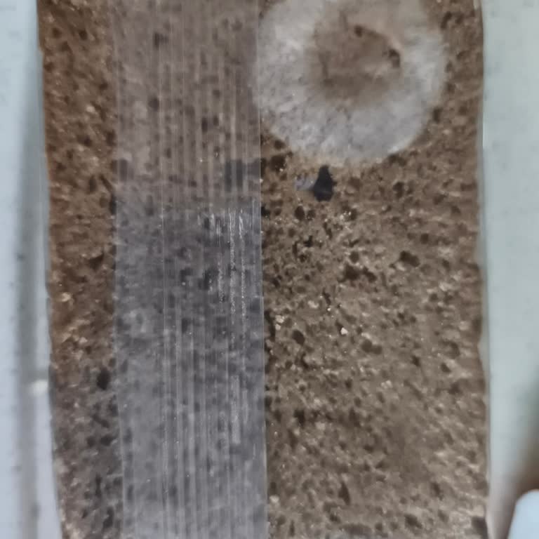 Migros Hemen Siparişlerinde Tekrar Eden Küflü Ekmek Sorunu