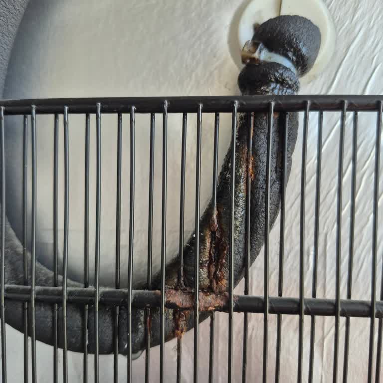 Arçelik Derin Dondurucuda Kronik Paslanma Ve Su Akıntısı Sorunu Endişelendiriyor