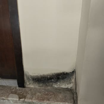 Belkon Otelde Hijyen Eksikliği Ve İade Edilmeyen Ücret Mağduriyeti