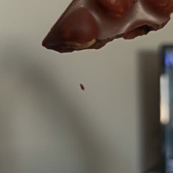 Çikolatada Ölü Böcek Ve Örümcek Ağı Şoku: Hijyen Sorunu