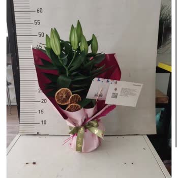 Sipariş Edilen Lilyumlar Tomurcuk Halde Teslim Edildi Mağduriyetim Giderilmedi