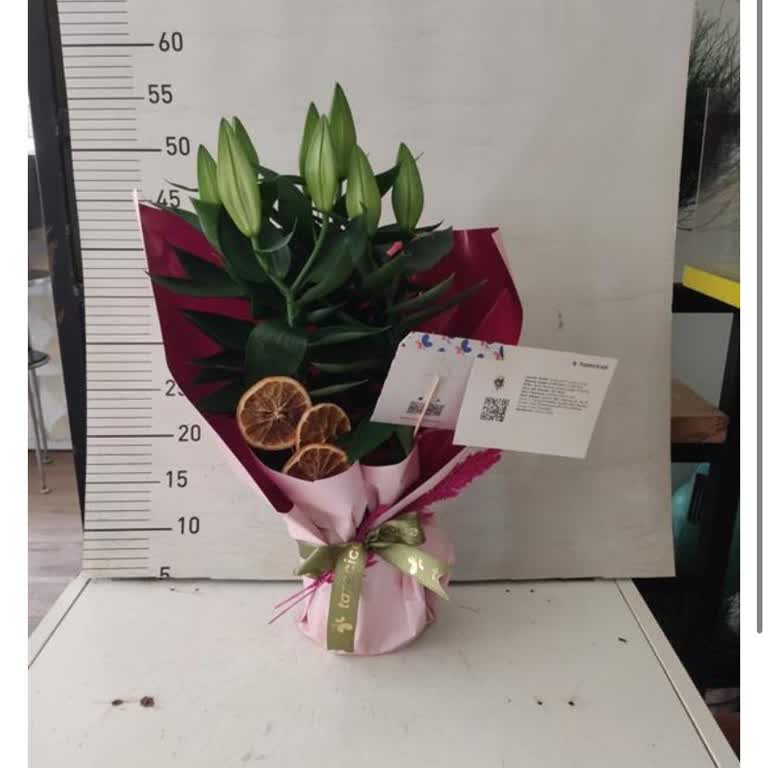 Sipariş Edilen Lilyumlar Tomurcuk Halde Teslim Edildi Mağduriyetim Giderilmedi