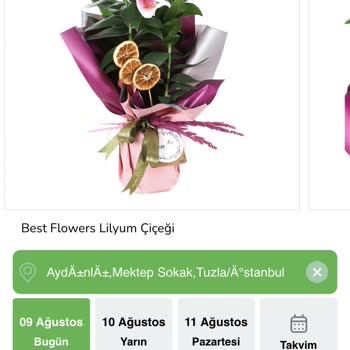 Sipariş Edilen Lilyumlar Tomurcuk Halde Teslim Edildi Mağduriyetim Giderilmedi