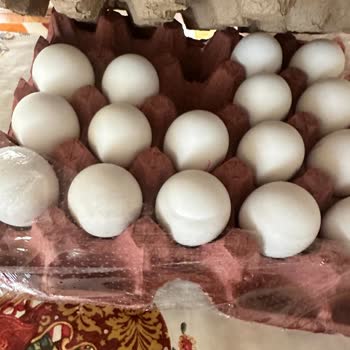 A101'den Aldığım Yumurtaların Bozuk Çıkması Ve İade Talebim