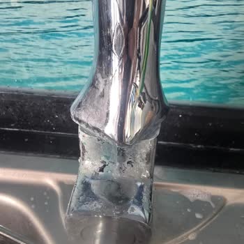 Villa Dolunay2'de Böcek Sorunu Ve İlgisiz Hizmet Nedeniyle Tatil Mağduriyeti