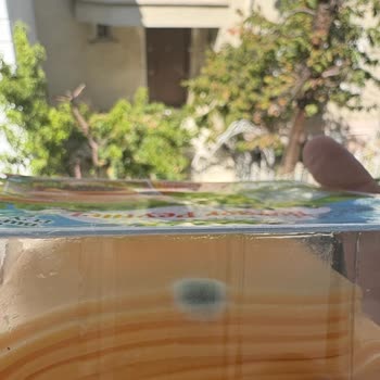 Sütaş Burger Peyniri Son Kullanma Tarihinden Önce Küflendi, Mağduriyetimin Giderilmesini Talep Ediyorum