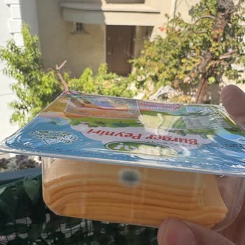 Sütaş Burger Peyniri Son Kullanma Tarihinden Önce Küflendi, Mağduriyetimin Giderilmesini Talep Ediyorum