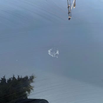 Garanti Kapsamındaki Opel Mokka'nın Tavan Boyasında Sorun Ve Çözüm Eksikliği