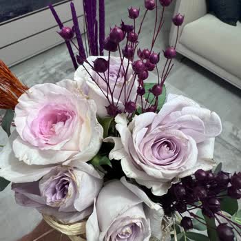 Solmuş Ve Farklı Gelen Çiçekler, Yetersiz Çözüm Teklifiyle Mağduriyet Yaşadım