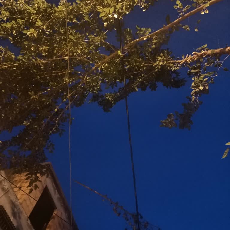 Tehlikeli Elektrik Kablosu İçin Acil Müdahale Bekliyoruz