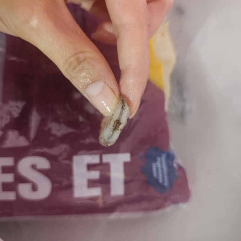 Temizlenmiş Karides Aldım Ancak Beklenmedik Sorunlarla Karşılaştım